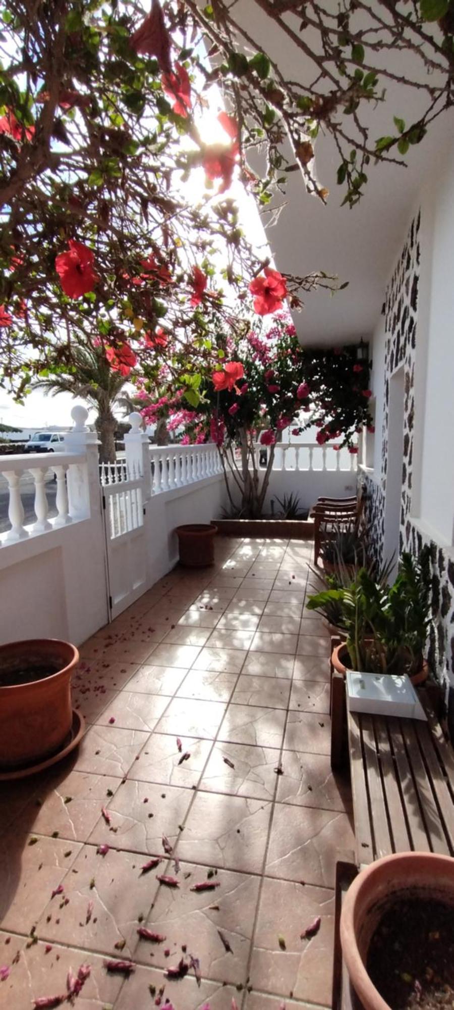 Casa M & A Villa La Oliva Dış mekan fotoğraf