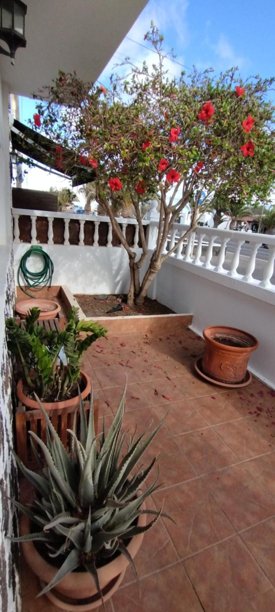 Casa M & A Villa La Oliva Dış mekan fotoğraf